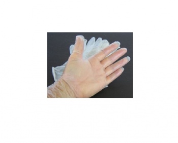 Vinyl Powdered Gloves Large